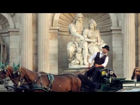 Horse Drawn Carriages In Vienna 