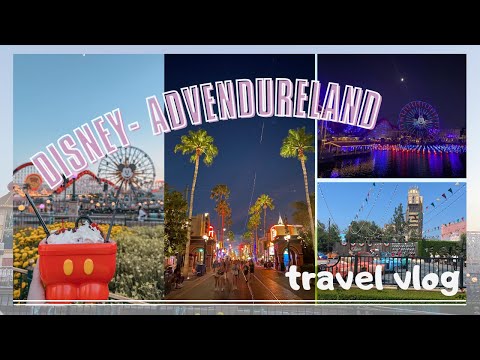 【USA VLOG | 加州迪士尼—冒險樂園篇】100週年迪士尼！不買pass也玩超瘋＋100週年水舞秀！