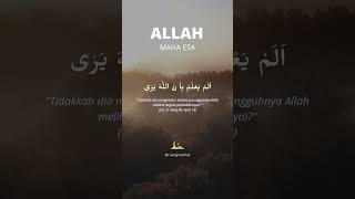 Allah tidak pernah tidur😌 #shorts