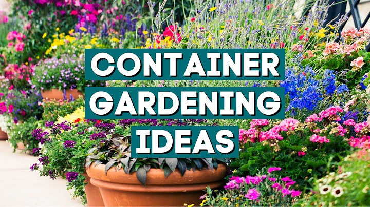 20+ Stylish Ideas to Plant Your Summer Container Gardens ✨ - DayDayNews