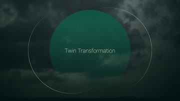 Twin Transformation: Recognising synergy between digital and sustainable change initiatives