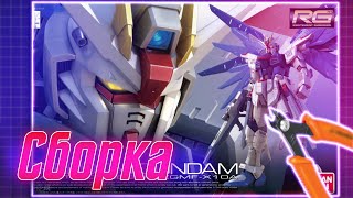 ZGMF-X10A  Freedom Gundam Speed Build: Gundam seed RG 1/144