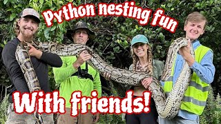 Famous Python nesting time! Profile