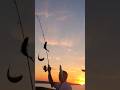 Straw fishing lure May 22 Navarre Beach Pier  Spanish Mackerel, Hard Tails Jack fish
