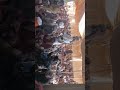 حـكم آل جـرادان النسيين على السـاده آل شيـخ مرخــة شبـوة حـكم آل جـرادان النسيين على السـاده آل شيـخ مرخــة شبـوة