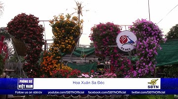 PHÓNG SỰ VIỆT NAM: Làng hoa Sa Đéc rộn ràng ngày cận Tết