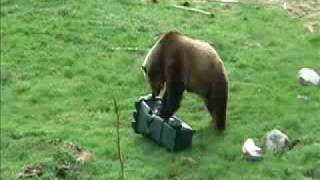 Bear Proof Garbage Cans