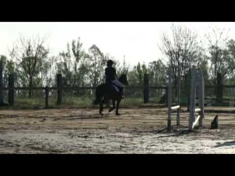 CSO à St Romain de Jalionas - Club 4 - Hidylle & Moi - YouTube