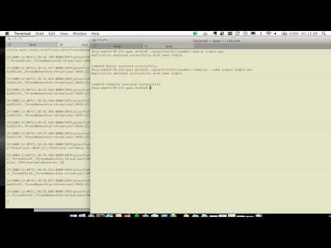 GlassFish 3 - Developers