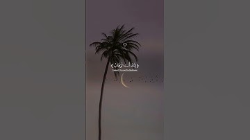 ربنا لا تزغ قلوبنا تلاوة هادئة تريح الأعصاب #سورة_آل_عمران #قران_كريم #تلاوات_خاشعة #اكسبلور 🍃