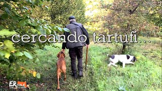 Waiting for Tartufesta 1... the truffle dogs