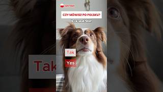Do You Speak Polish? YES! 🇵🇱Polish for Beginners