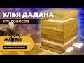 Пчеловодство в Украине 2021 — статистика по количеству и типам ульев, породы пчел