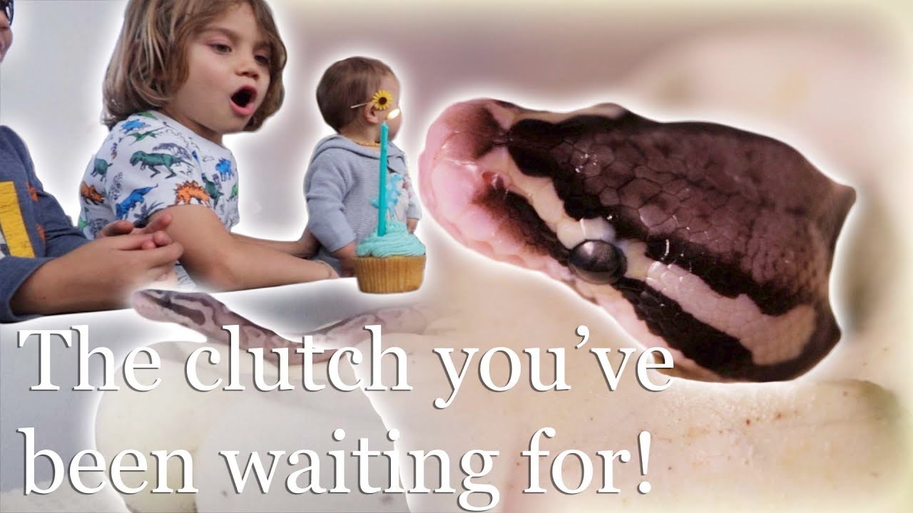 how to be happy quotes It's time to be Celebrating these Babies!