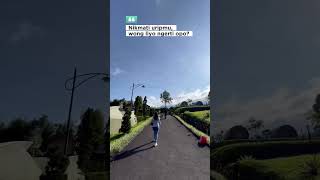 Download Lagu wong liyo ngerti OPO cah ?? MP3 Download Lagu wong liyo ngerti OPO cah ?? MP3