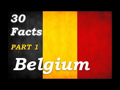 Top Amazing Facts