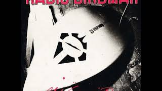 Radio Birdman - Aloha Steve & Danno (Sire version)