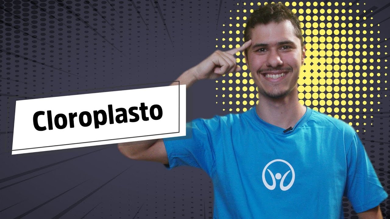 Qual É A Função Do Cloroplasto?