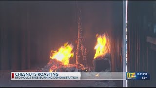 Bakersfield Fire Department and PG&E hold tree burning demonstration