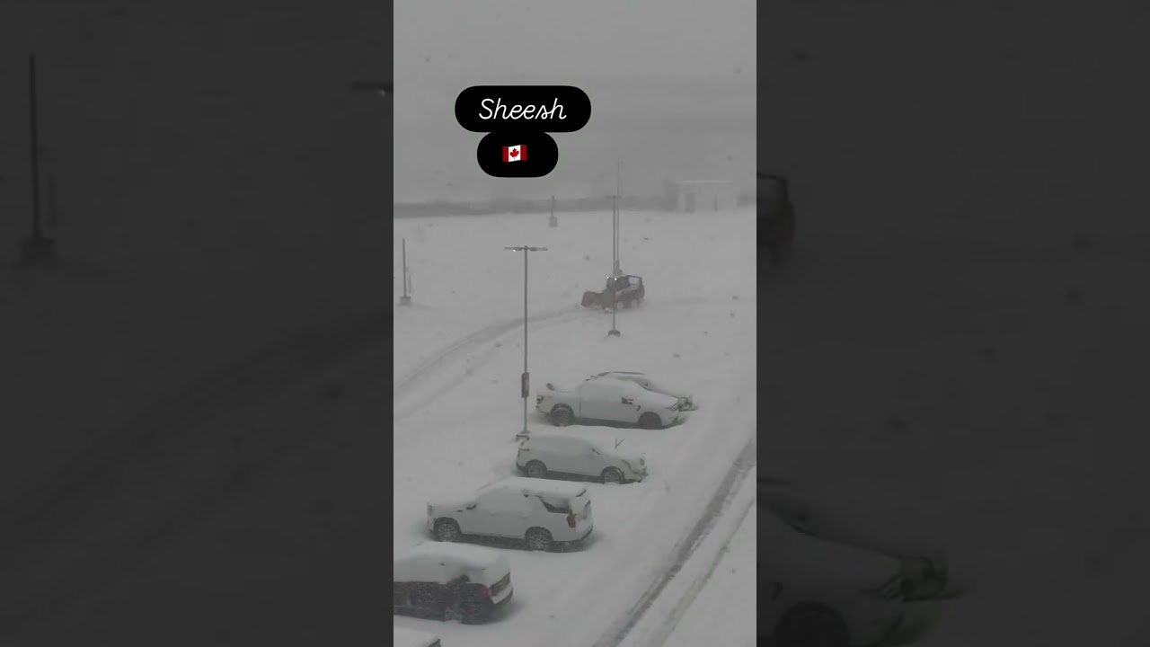 Jey commentating out here these days 😭 #jeyuso