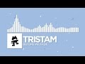 [Electronic] - Tristam - Before We Fade [Monstercat Release]