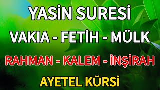 Yasin Suresi - Vakıa Suresi - Fetih Suresi - Mülk - Rahman - Kalem - İnşirah Suresi ve Ayetel kürsi🌷