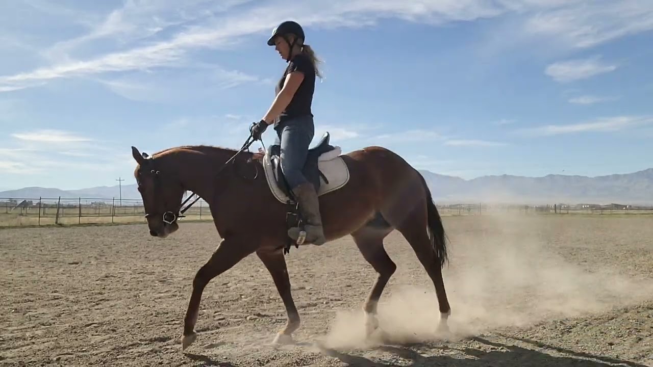 Nu Shining Lucy - Dressage 