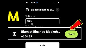 Blum at Binance Blockchain Week Blum Video Code | Verification Keyword Blum at Binance Blockchain