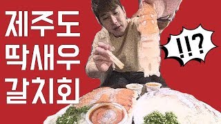 제주 동문시장 딱새우 갈치회 먹방