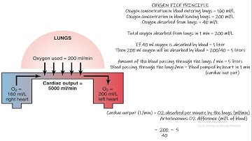 Oxygen Fick Method, Indicator Dilution Method. Chapter 20 part 10. Guyton and Hall Physiology.
