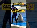 Dolphin Dancing| Orca show time| Orca with Jessica | Seaworld| Viral accident #orca #dolphin #viral