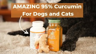 5 Lesser Known but BIG Benefits of 95% Curcumin for Dogs and Cats