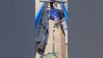 Câu cá basa điểm mới lên hàng quá ngon#shorts #fishing #fish #cauca #caucagiaitri