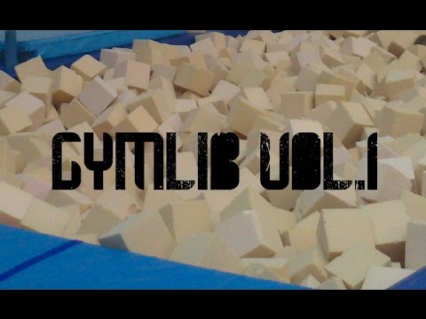 Gymlib v.1