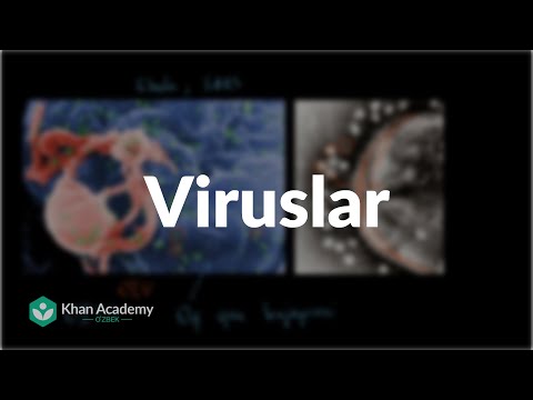 Viruslar | Viruslar | Biologiya