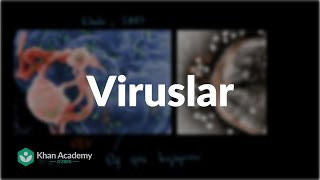 Viruslar | Viruslar | Biologiya