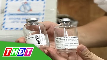 Cấp phép nhập khẩu thuốc giải độc cho bệnh nhân ngộ độc Pate Minh Chay | THDT