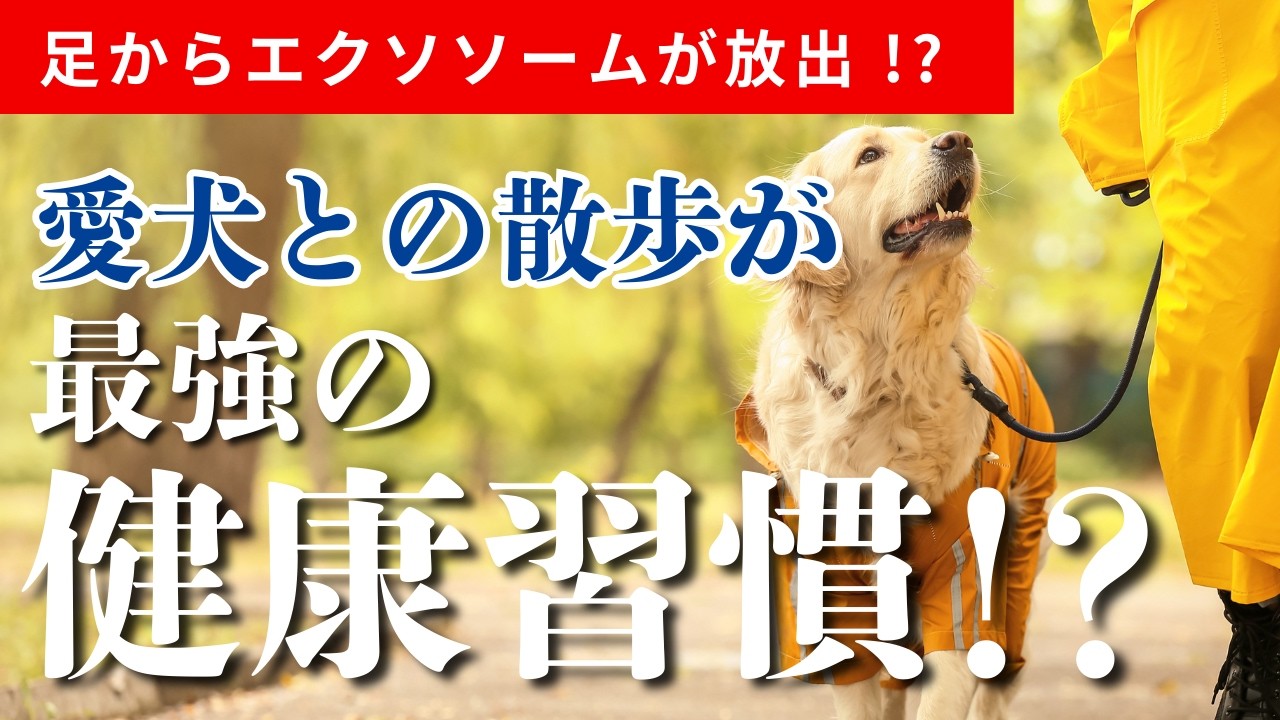 犬との散歩が“最強の健康習慣”？エクソソームと食の新常識【#4】