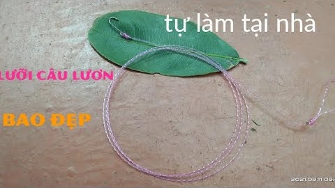 cách tóm lưỡi câu lươn +se dây câu hướng dẫn Chi tiết
