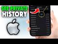 How to see private browsing history on iphone?