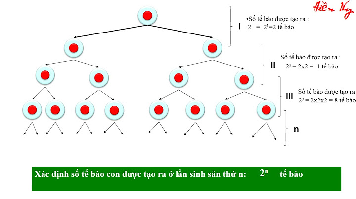 Các bài tập tính số tế bào con tạo ra năm 2024