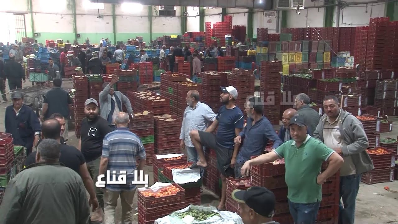 عملياات البيع والشراء بالجملة في المكنين..الفلفل وصل لسبعمائة مليم فقط والأسعار متذبذبة غالية ورخيصة