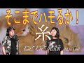 【もはや 涙が出そうなハーモニー】糸_ねこねこ兄妹 023/100 [毎週水曜日にアップ]