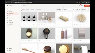 How to use imagine's Design Collection for 3D Designing