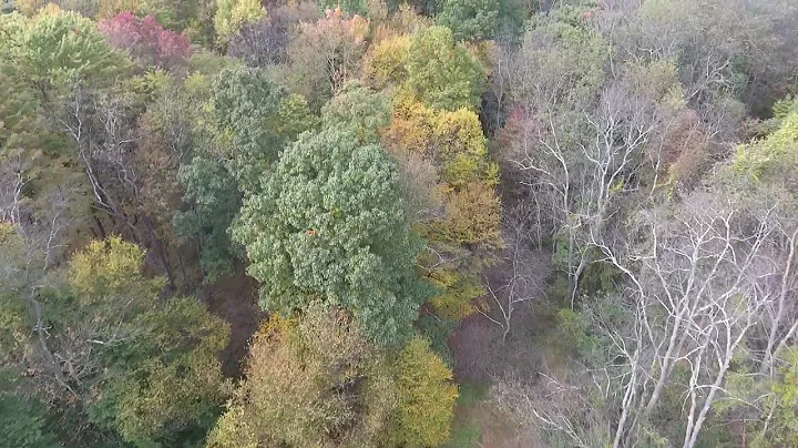 Jill Sutter Property - 3