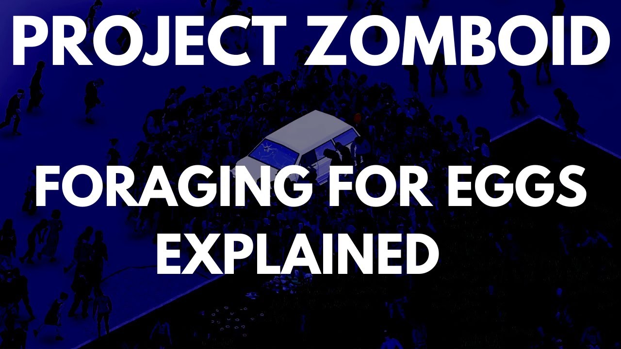 Project Zomboid Foraging For Eggs Explained YouTube