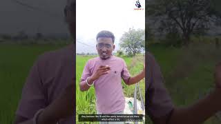 किसानों की फसल का सुरक्षा कवच FIRE -22 BIO INSECTICIDE 🌾🍁