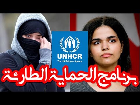 لماذا لم تحصل ندى اليمنية على حق اللجوء في كندا
