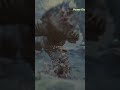 just cant get enough of this 😩😩 #monsterhunter #monsterhunterwilds