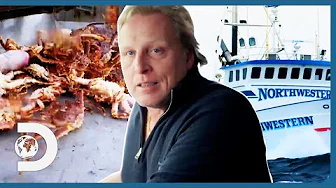 Betrayals, Fiery Arguments, Deckhands Overboard & More Sig Hansen Moments! | Deadliest Catch